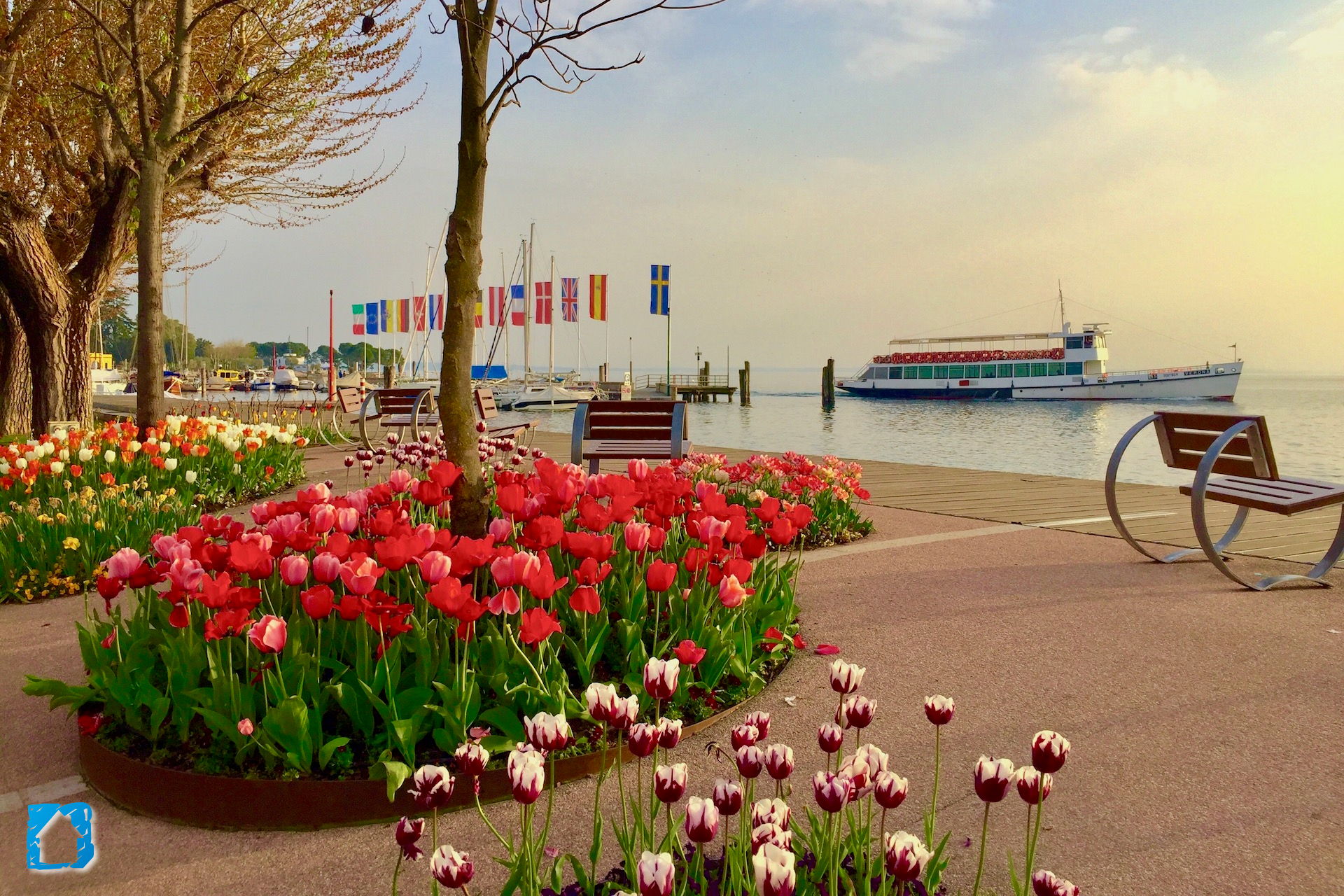 fotografia di Bardolino e il Lago d Garda