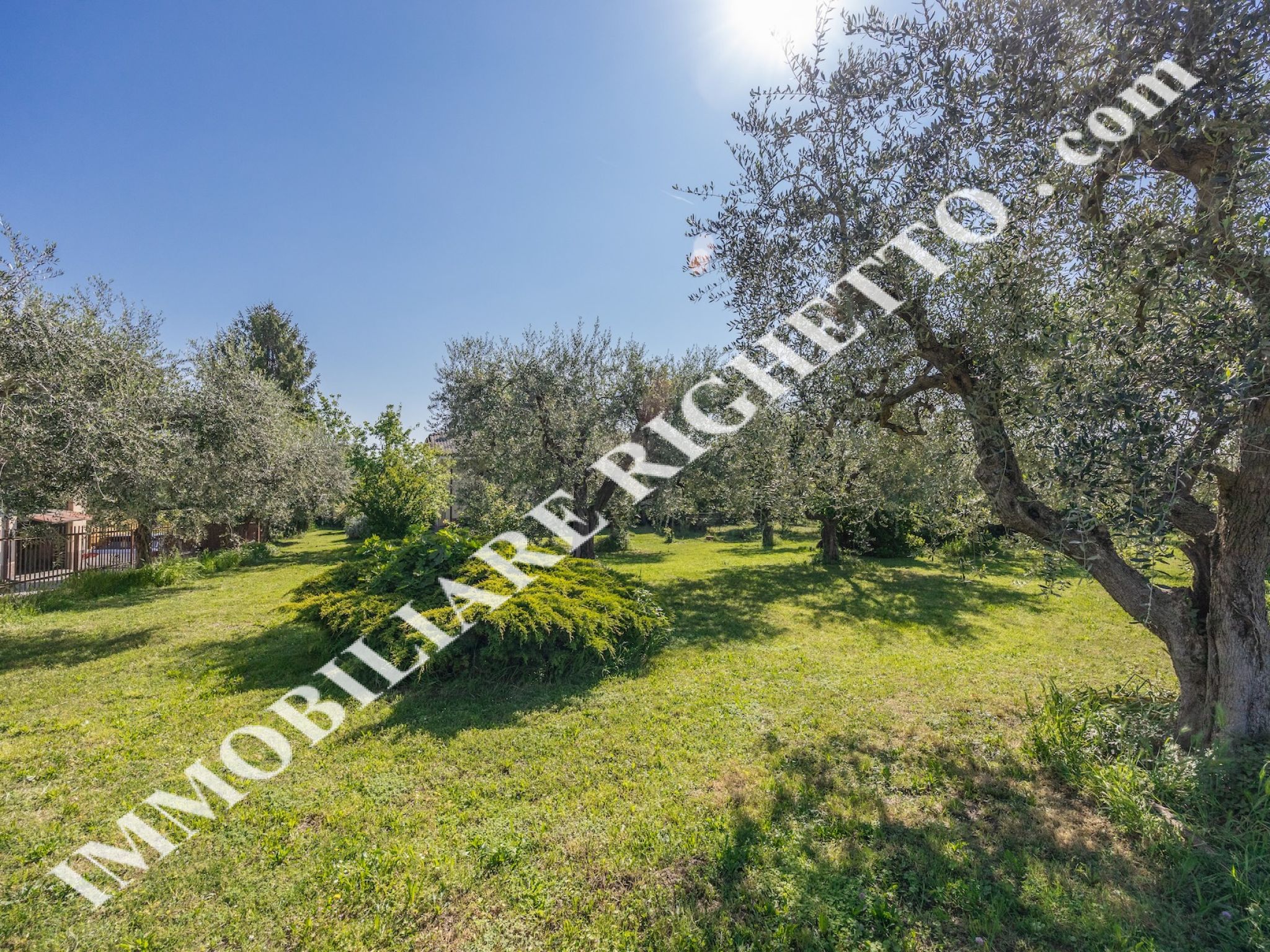 offerta immobile in vendita Spaziosa villa singola immersa nel verde.
