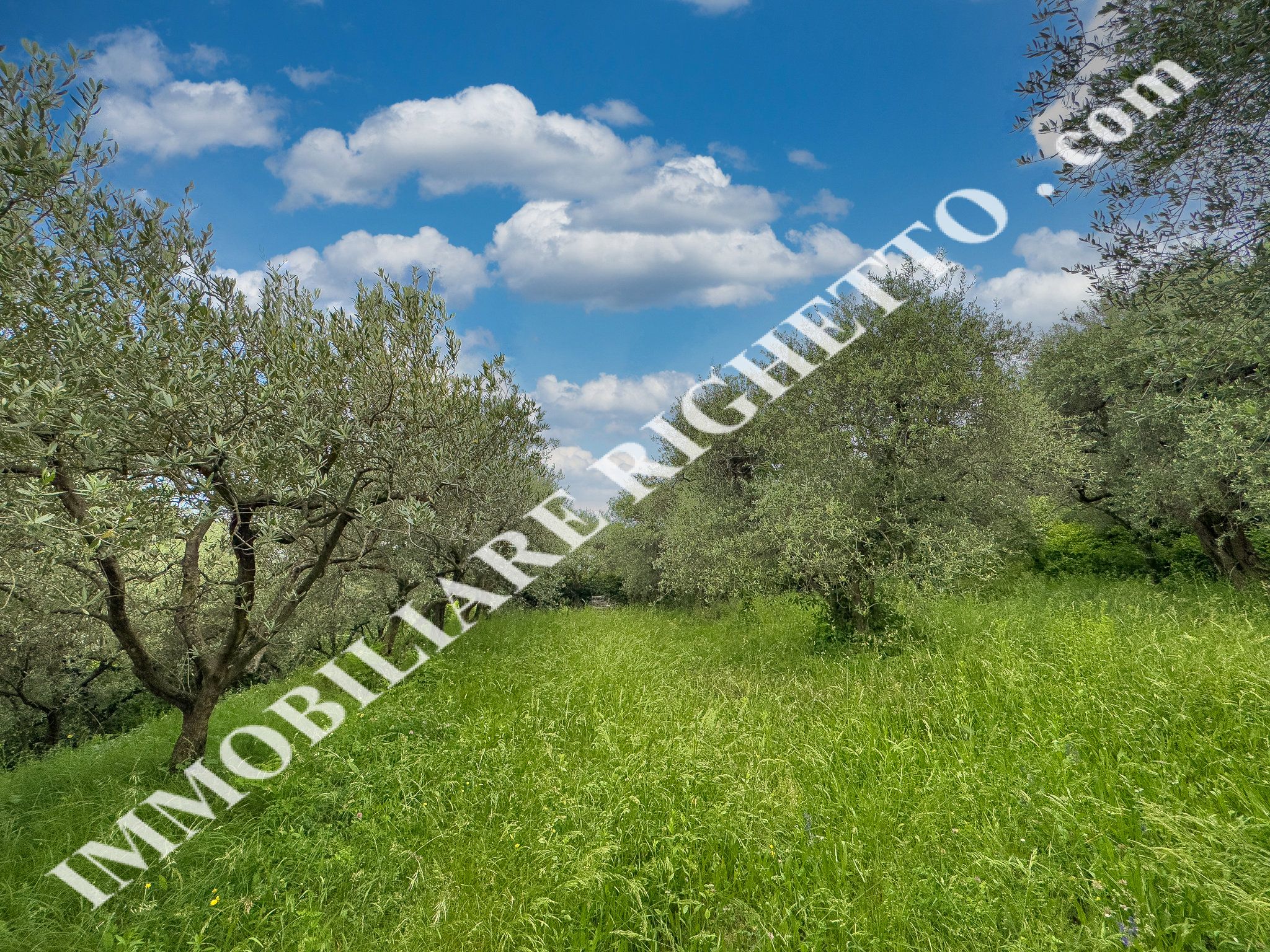 offer real estate for sale Agricultural plot in a quiet panoramic location.