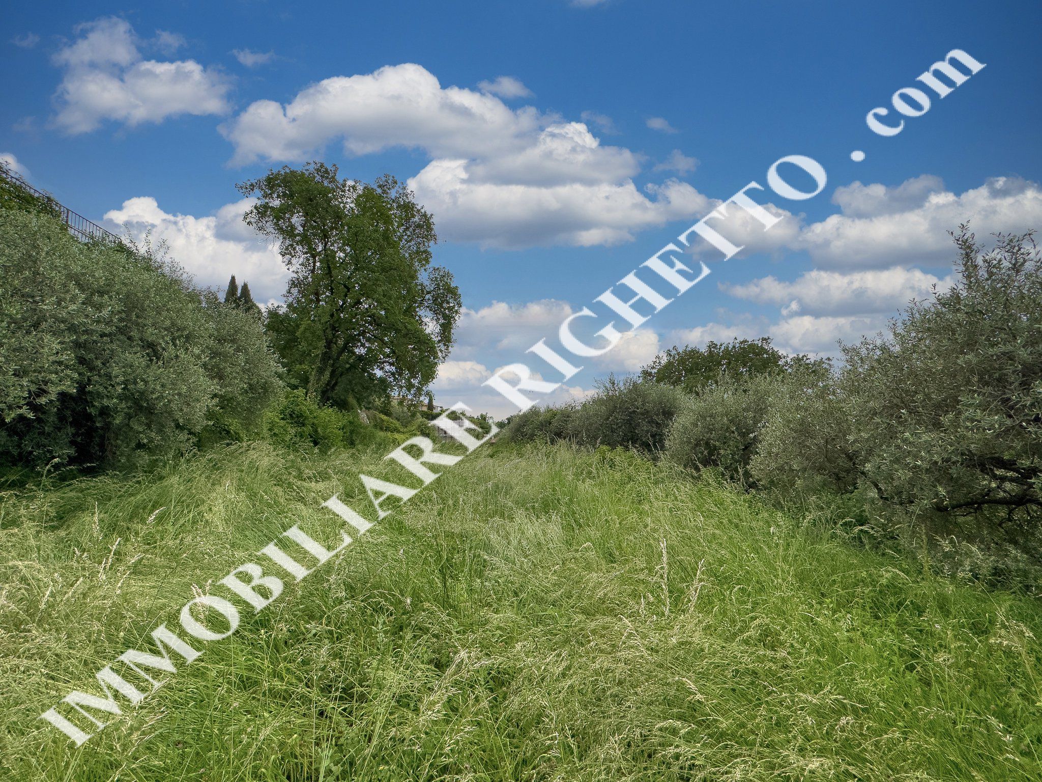 offer property for sale Agricultural plot in a quiet panoramic location.