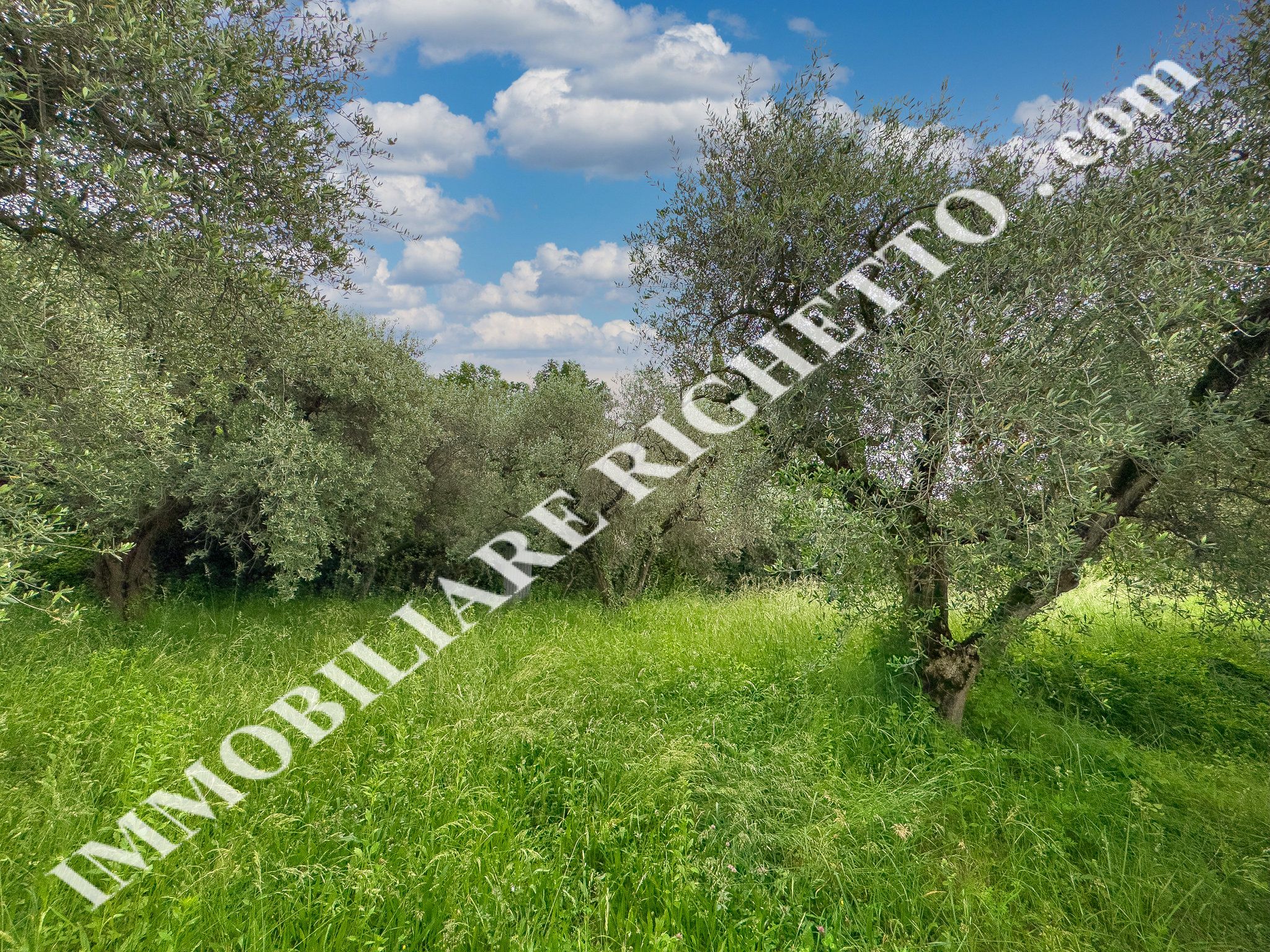 offer property for sale Agricultural plot in a quiet panoramic location.