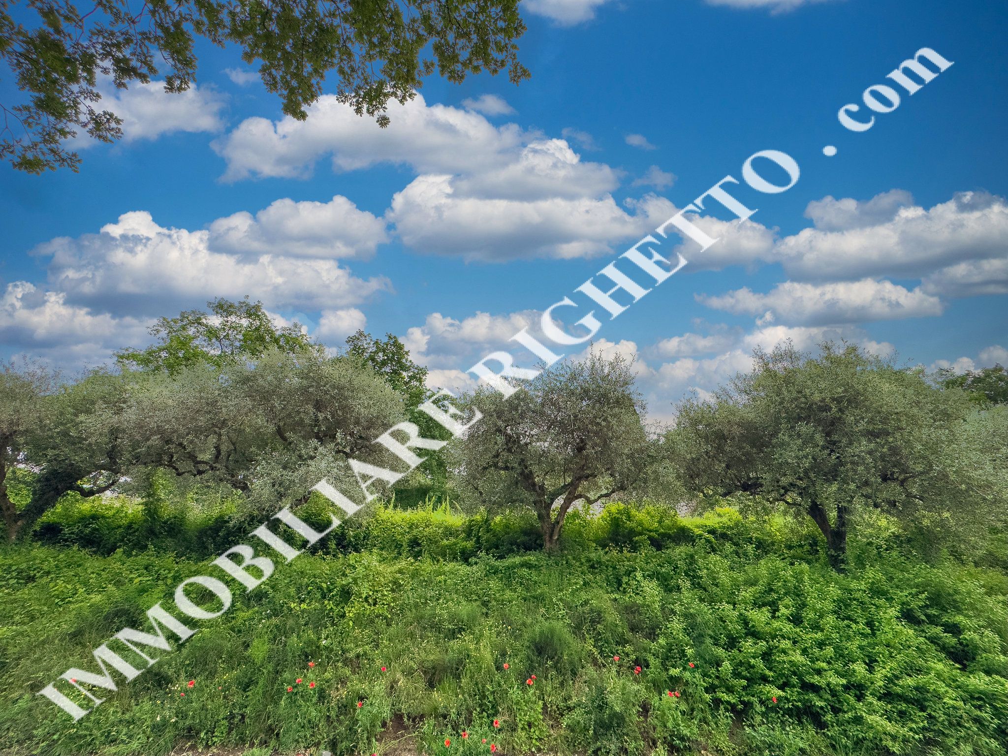 offer property for sale Agricultural plot in a quiet panoramic location.